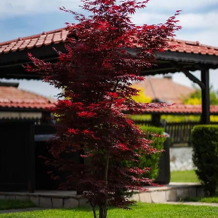 Villa Ploski